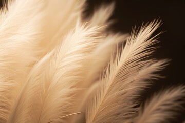 Abstract natural background of soft plants Cortaderia selloana. Pampas grass on a blurry bokeh, Dry reeds boho style. Fluffy stems of tall grass. ai generative