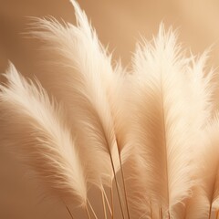 Abstract natural background of soft plants Cortaderia selloana. Pampas grass on a blurry bokeh, Dry reeds boho style. Fluffy stems of tall grass. ai generative