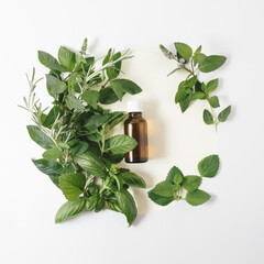 Creative minimal arrangement of green leaves of medicinal herbs and bottle. Nature concept. Flat...