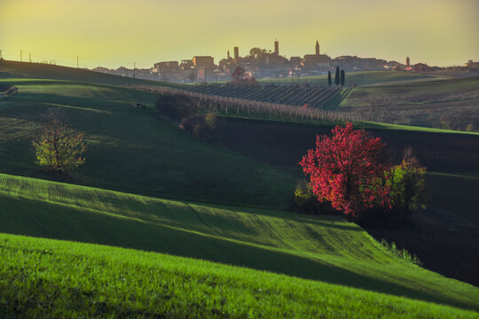 Rolling landscape near Lu Monferrato, Alessandria, Piedmont, Italy