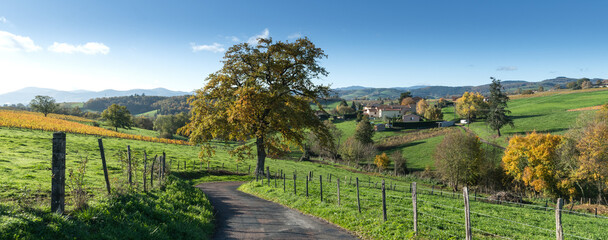 beautiful road in the Beaujolais country