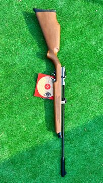 Image of an airsoft gun with pellets and target on a green background.