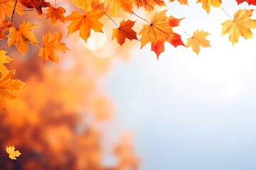 Naklejka na ściany i meble Autumn leaves and blurry trees. Seasonal banner with autumn foliage. Autumn background. Copy space. 