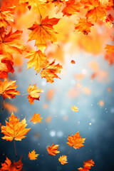 Fototapeta na wymiar Falling fall maple leaves on autumn background. Seasonal banner with autumn foliage. Copy space. 