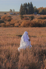 Fototapeta na wymiar Ghost on cellphone in field