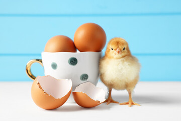 Cute chick with cup, eggs and pieces of shell on white wooden table, closeup. Baby animal