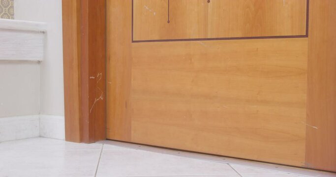 Dog dachshund puppy quickly runs along floor of corridor, enters doorway, defiantly slams door. Difficult teenager closes in his room, runs away from quarrel, conflict Bad mood, personal boundaries