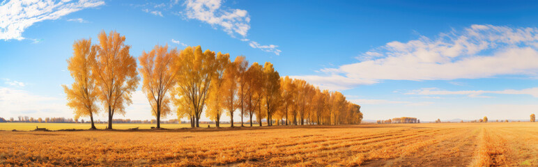 Fototapeta na wymiar A Blend of Fall Colors: Ultra Wide Angle Panorama of a Massive Yellow Meadow with Autumn Trees and Crisp Blue Sky - Generative AI