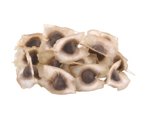 Moringa Oleifera Medicinal and Culinary Fruit Seed Closeup Isolated transparent png