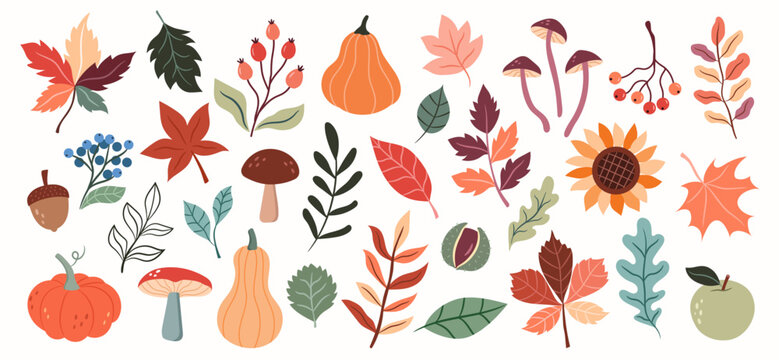 A set of colorful autumn plants with leaves, pumpkins, mushrooms, apples, berries