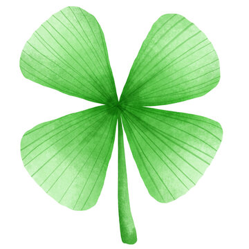 four leaf clover