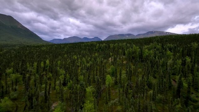 Alaska Wilderness near lake clark alaska