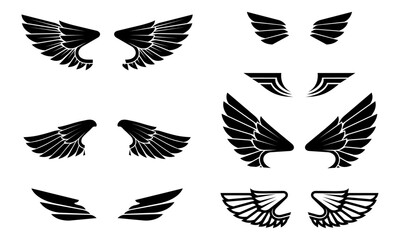 eagle wings vector  © Arthit