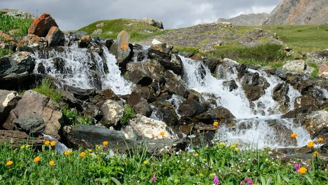 Video of waterfall on Altai river Yarlyamry. The cascade on the stream is surrounded by alpine forb meadows.