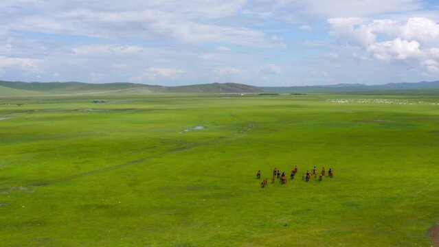 Drone follows herd of wild horses running on mongolian grassland plains