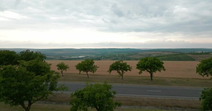 sideways drone footage in line with the road crossing two wheat fields view behind the road The horizon is very far away with green fields