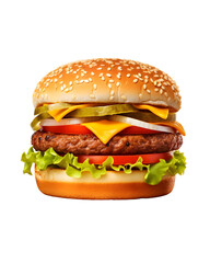 tasty beef burger with cheese and salad
