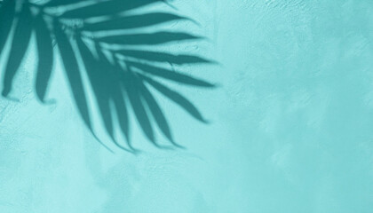 Mint Blue cement texture wall leaf plant shadow background. Summer tropical travel beach with minimal concept. Flat lay pastel color palm nature.