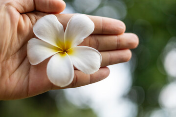 white flower in man's hand circular bokeh blur