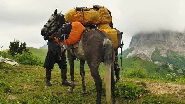 The packhorses pack and load the horse for crossing the mountain trails. Close-up. The background of the mountain in the fog. Horses carrying equipment for mountain climbing