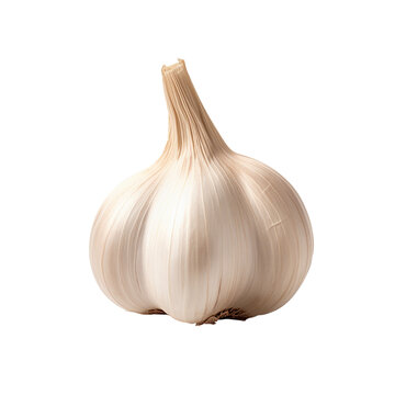 garlic isolated on white background