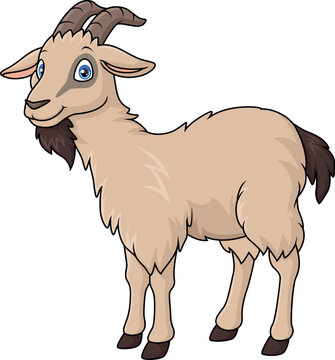 Cute goat cartoon isolated on white background