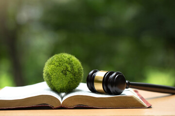 Environment Law. Green globe placed and gavel on a law book. law for principles of sustainable...