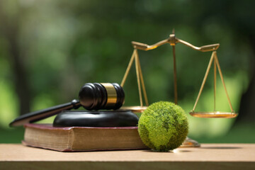 Environment Law. Green World and gavel with scales of justice on the green. law for principles of...