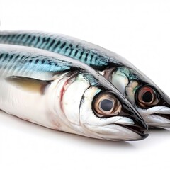 Raw mackerel fish isolated on white background - obrazy, fototapety, plakaty
