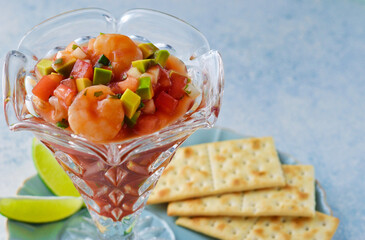 メキシコ料理のセビーチェ・アカプルケーニョ　クラッカーをそえて　コピースペースあり Mexican food Ceviche acapulqueño（Cebiche acapulqueño, Ceviche estilo Acapulco) served with salty crackers, copy space available
