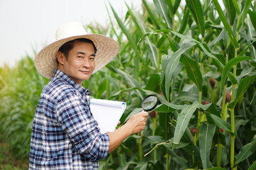 Handsome Asian man researcher holds magnifying glass and paper clipboard to explore or inspect growth and diseases of plants at maize garden. Concept. Agriculture occupation, survey and research crops