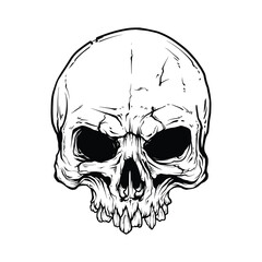 Human Skull and Crossbones Icon - Danger Symbol, Toxic, Warning, Hazard, and Skull and Bones Illustration for Safety and Risk Communication