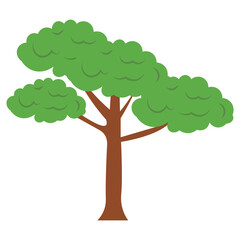 Tree Illustration