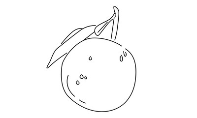 line art of orange fruit vector illustration