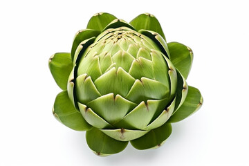Green artichoke vegetable on white background