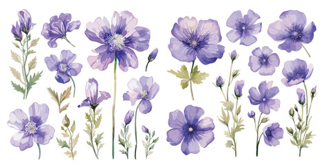 watercolor purple flower clipart for graphic resources