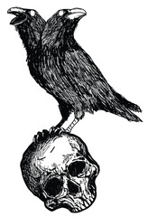 Tattoo art two-headed crow on skullhand drawing and sketch