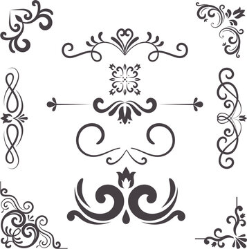 vintage ornament borders typography illustration wedding calligraphic floral frame