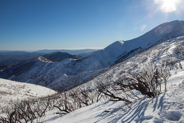 Obraz premium Mount Feathertop, Victoria