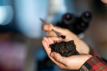 regenerative organic farmer, taking soil samples and looking at plant growth in a farm. practicing...