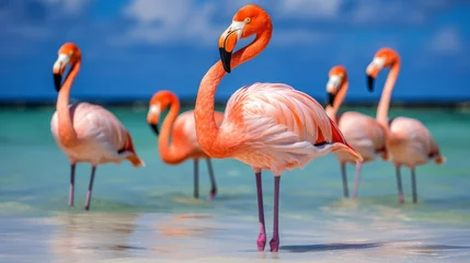 Gardinen Pink flamingo stands in the sea © savvalinka