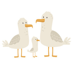 Family of seagulls, parents and chick
