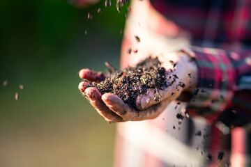 regenerative organic female farmer, taking soil samples and looking at plant growth in a farm....
