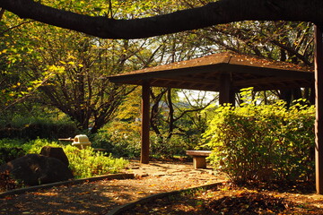秋の西日に照らされる東屋, Gazebo