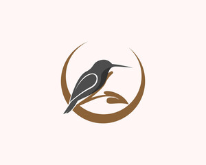 humming bird perch at branch circle logo icon symbol design template illustration inspiration © ShiipArts