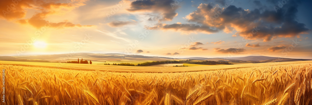 Poster beautiful colorful natural summer landscape with field of ripe wheat in rays of sun breaking through