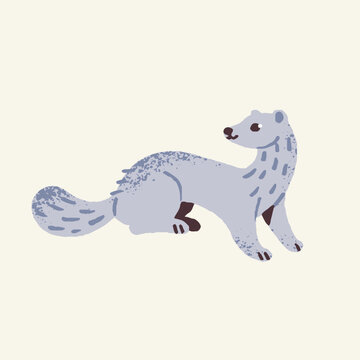 Cute woodland animal, lovely polecat. Forest ferret, wild friendly weasel with furry tail. Adorable mink, funny fluffy predator in childish style. Flat isolated vector illustration on white background
