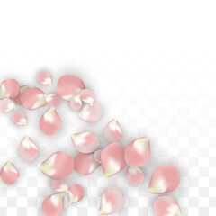 Pink Vector Realistic Petals Falling on Transparent Background.  Spring Romantic Flowers Illustration. Flying Petals. Sakura Spa Design. Blossom Confetti. Design Elements for Wedding Decoration.