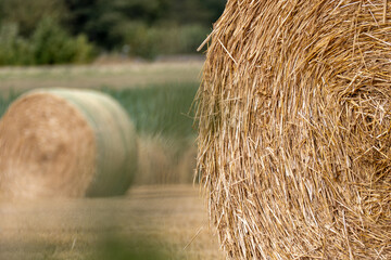 The baler, straw bales, Bales of Hay, Round Bales