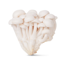 White beech mushroom, Shimeji mushroom, isolated on white background - obrazy, fototapety, plakaty